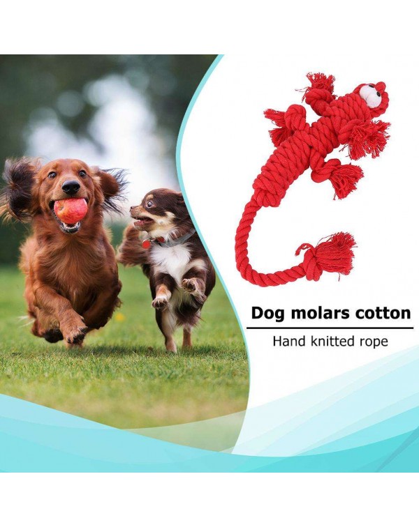 Pet Dog Cotton Rope Toys Durable Braided Knot Rope Chew Bite Molar Toy