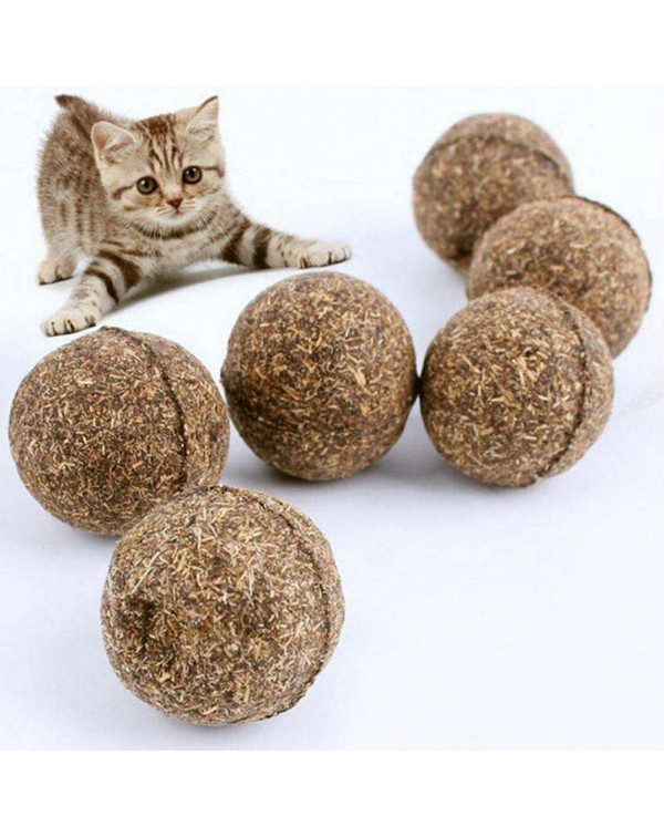 Cats Natural Mint Edible Ball Kitten Interactive Bite Catnip Play Toys
